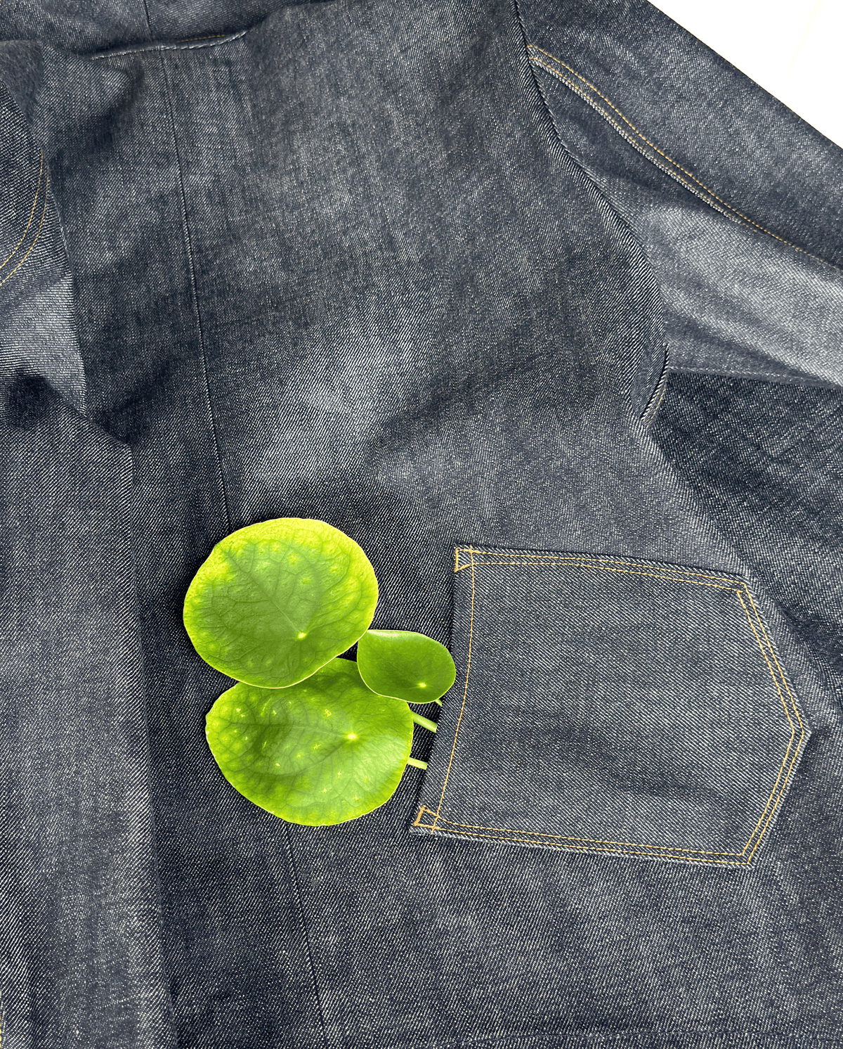 Girlfriend Jacket - Dillon Montara